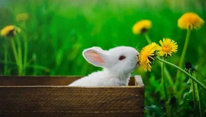 舟山伴游，定制QQ：3494206190微信：act1322